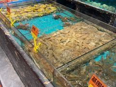 -潮粤香海鲜酒楼(沙湖店)