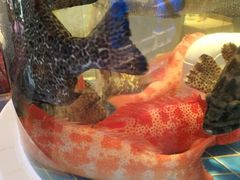 -金苑海鲜酒家(来魅力店)