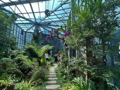 -东莞植物园