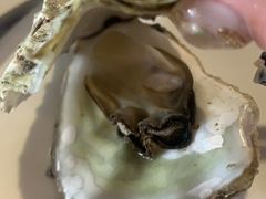 -渔公码头海货全海鲜自助(海滨旅游路店)