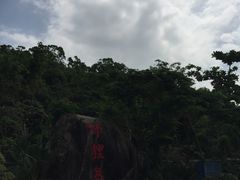 -野狸岛