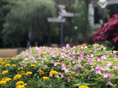 -苏州河梦清园环保主题公园