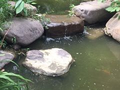 -新湖明珠城