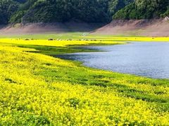 -麦当劳(光新乐购店)