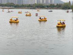 -洋湖国家湿地公园
