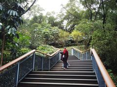 -金鸡山公园