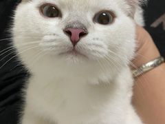 -荔康动物医院(康王北路店)