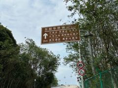 -东部华侨城