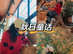 -大鹅岛绿色生态美食园
