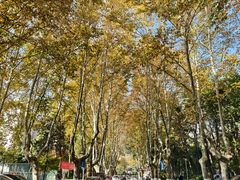 -浙江大学(玉泉校区)