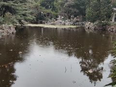 -叶家花园