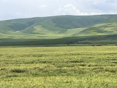 -扁都口生态休闲旅游区