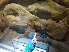 -上海昆虫博物馆