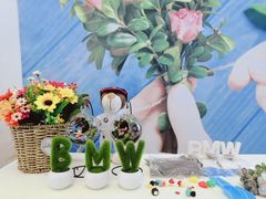 -南充通源宝马4S店(高坪店)