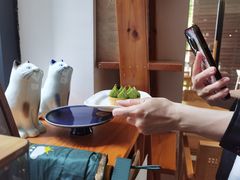 -猫里有甜