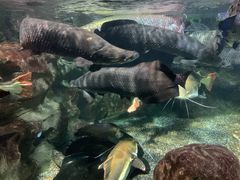 -太平洋海底世界