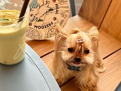 -Grande A'moo(上海万象城店)