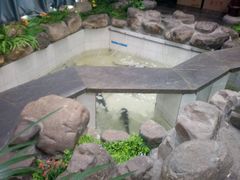 -春盛渔府(牛首山店)