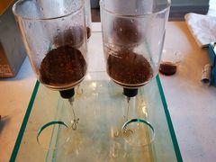 -dotcom coffee古点咖啡(致真大厦店)