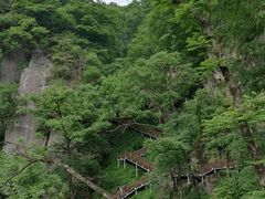 -陕西省红河谷森林公园