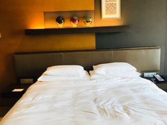 -上海外滩茂悦大酒店