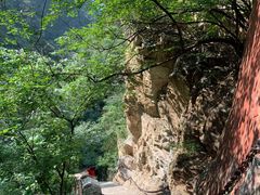 -北京上方山国家森林公园