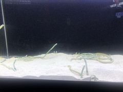 -沈阳海洋探索中心