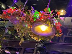 -村理·乡村菜音乐餐厅(河西店)