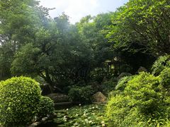 -晓港公园