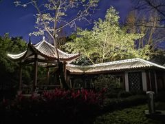 景点-南宁南湖公园