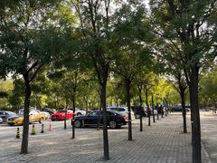 -车辆管理所京丰分所-停车场