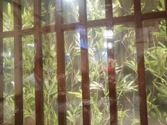 -三月居酒屋(青年大街店)