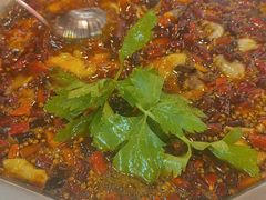 -王朝花椒鱼(杉板桥南一路店)
