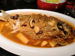 -阿五黄河大鲤鱼(英协路店)