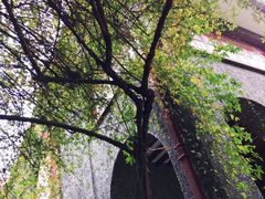 -上海孙中山故居纪念馆