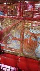 -奇乐儿momoplanet儿童乐园(卓悦汇店)