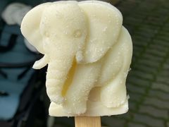 -宁波野生动物园