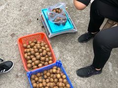 -宁波五龙潭景区