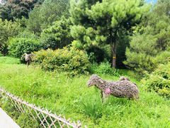 -北京西山国家森林公园