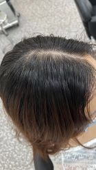 点击看大图 -木马造型