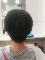 -YESIDO椰岛造型