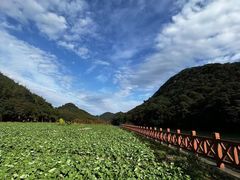 -广州市石门国家森林公园