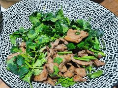 香菜牛肉-掌上鲜(南顺城街店)