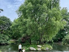 -海窝子古镇