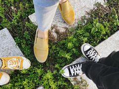 -洪湖湿地生态园