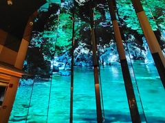 -桂满陇·海市蜃楼·黑金(国金店)