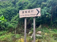 -南丫岛