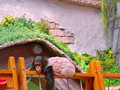 -北京野生动物园