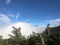 -富士山吉田線五合目