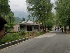 -王顺山国家森林公园